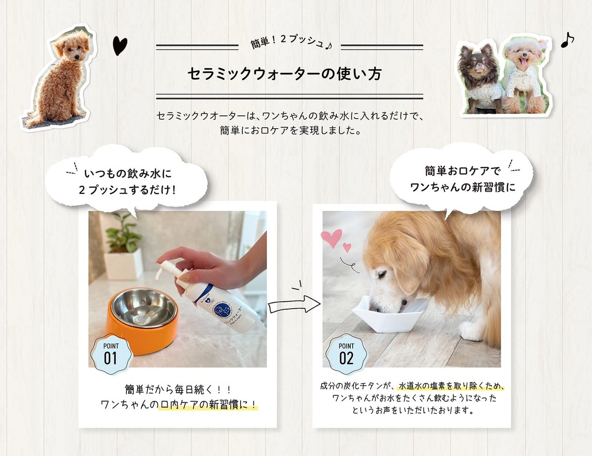dr_ticeran's tweet photo. ワンちゃんの場合、虫歯よりも歯周病の方が多い
歯周病は歯垢が蓄積され歯肉が炎症を起こすことで進行します
歯周病は歯垢の除去＝ブラッシングが第一ですが
ブラッシングを嫌がるワンちゃんも多い��では
そんな時は飲料水に混ぜることで歯周病の予防ができるセラミックウォーター
をお試しください！ https://t.co/zrWwCoBabm