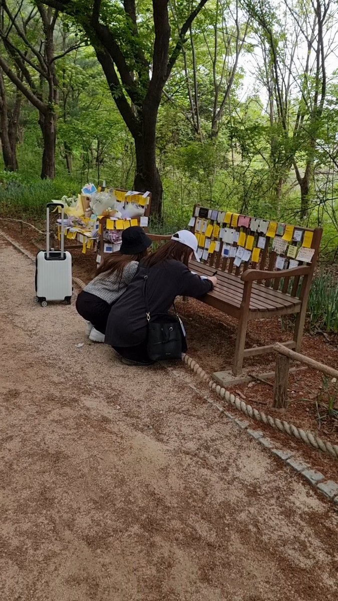 힐링 인 서울 포레스트 (Healing in Seoul Forest) tweet media