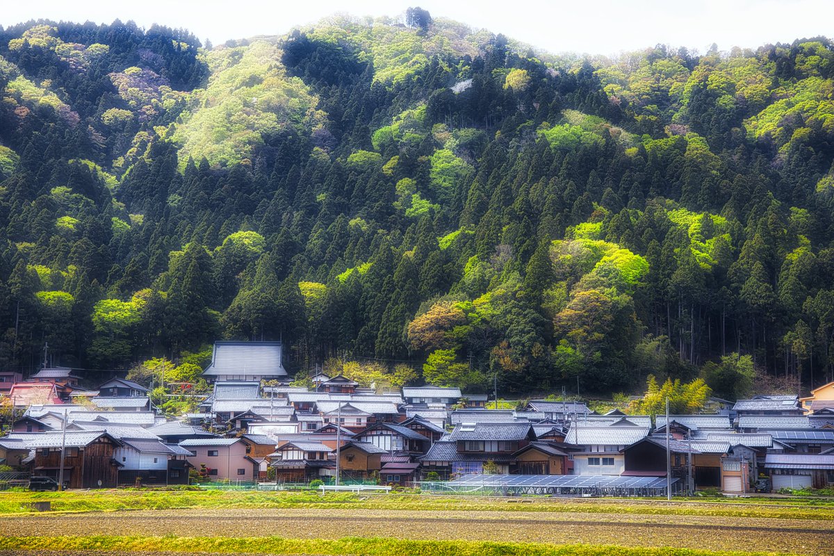 FieldScientist's tweet image. This is a typical scene of a Japanese village. Seeing the fresh green of the mountains, Japanese people describe it as "the mountains laughing.
#EOSR5 #Rf24105 #Canon #freshgreens #village #Japan #shiga #photography