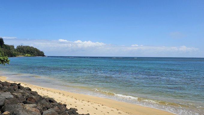 Catching dinner https://t.co/SklaMmyyO5<a href="/tag/fetish"class="tags"><span>#fetish</span></a><a href="/tag/pornhub"class="tags"><span>#pornhub</span></a><a href="/tag/bondage"class="tags"><span>#bondage</span></a>