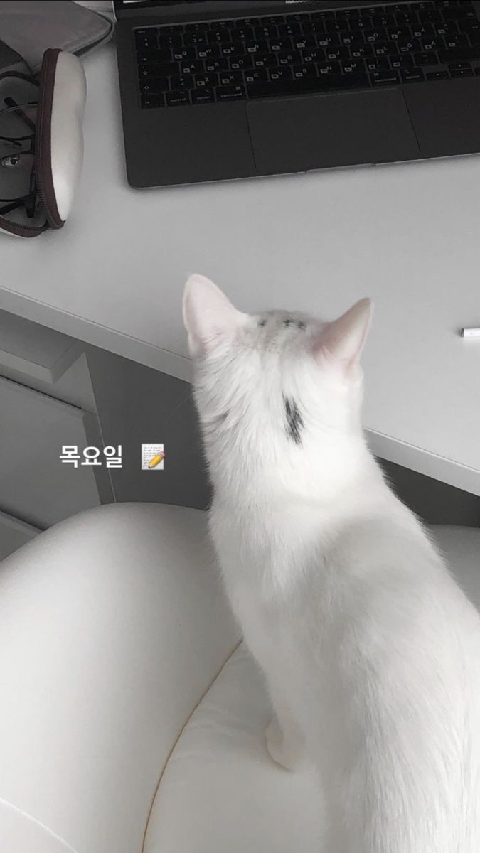 Gay_siteee's tweet photo. ว่าไงตัวน้อย Good morning นะครับ https://t.co/DaqIhhzmNI