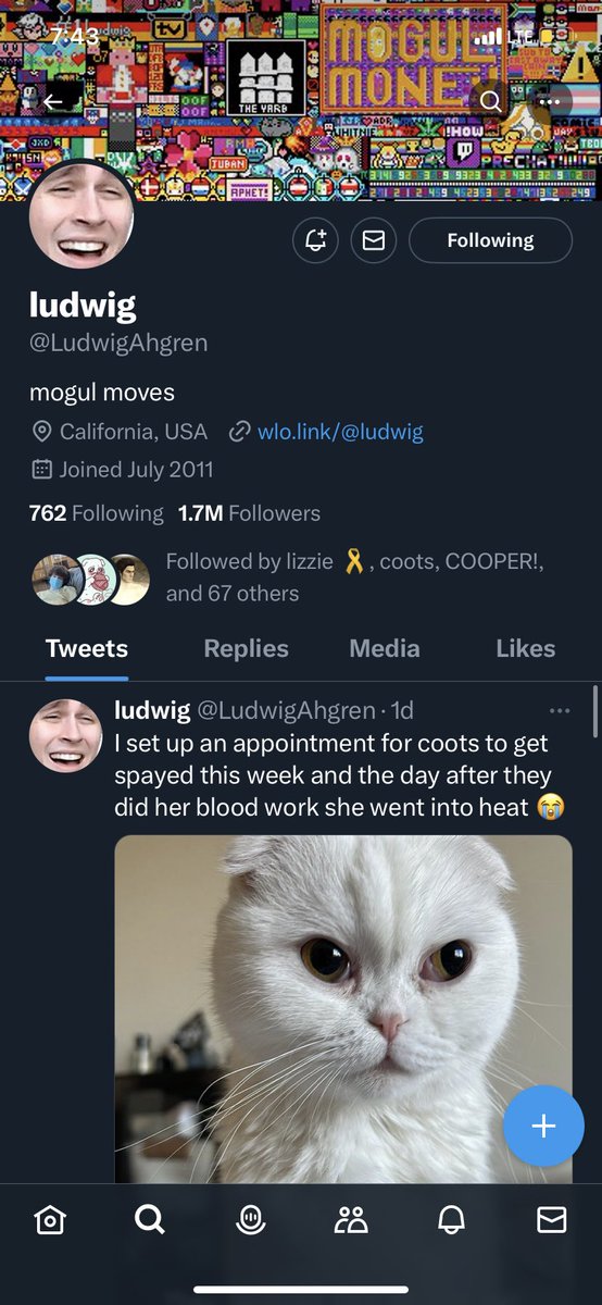 veronica 🦈 tweet media