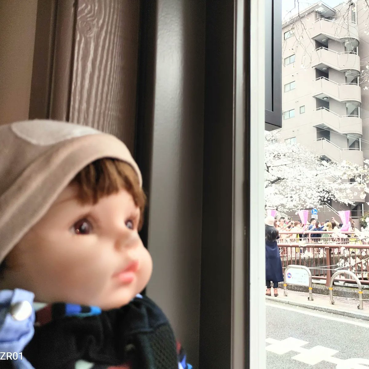 marumo_1's tweet photo. 🌸🌸🌸お花見🌸🌸🌸
こんにちは!真育です。3/24、お昼にママと #お花見 に行ってきました。お天気が良くて☀暖かかったです。電車をいっぱい乗って東京の #目黒川 に行きました。桜並木を歩いて、#カフェ で写真をいっぱい撮ってもらいました。
#リボーンドール #人形 #赤ちゃん #RebornDool  #Baby https://t.co/gX2d646qKf