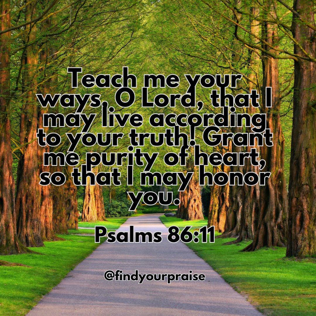 Oh Lord, teach me Your ways so that I can live according to Your will for your life! Amen