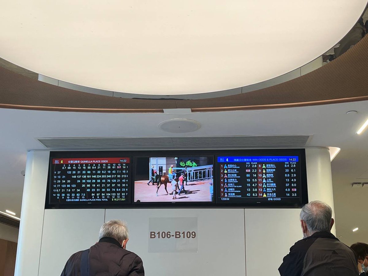 NancyTrollpoe2's tweet photo. Going to see a horse race? https://t.co/Hph305u3sZ
