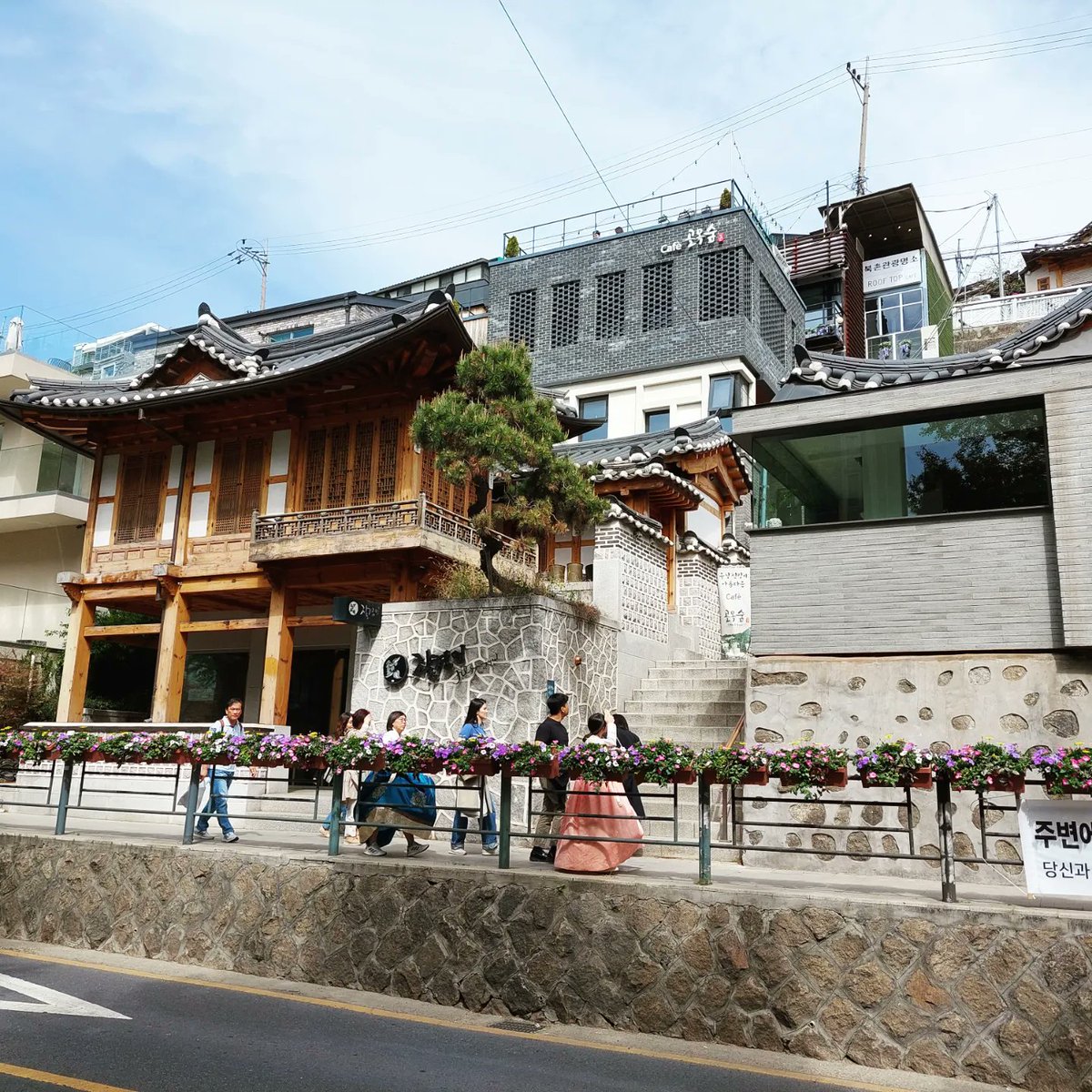seoulunexpected's tweet photo. Walk a bit further north from Anguk and you will enter the more quiet, artistic area of Samcheong. Here you can find some pretty rooftop bars, art galleries and Chong Wa Dae, Korea's former presidential office... 🌳🌻 #Seoul #visitSeoul #Anguk #Samcheong https://t.co/jBFe0YywMq https://t.co/IF2jRdszu8