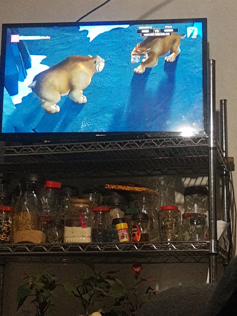 #MiViajeSoñado saludos ala familia Cruz Campos y ala familia Campos Sánchez