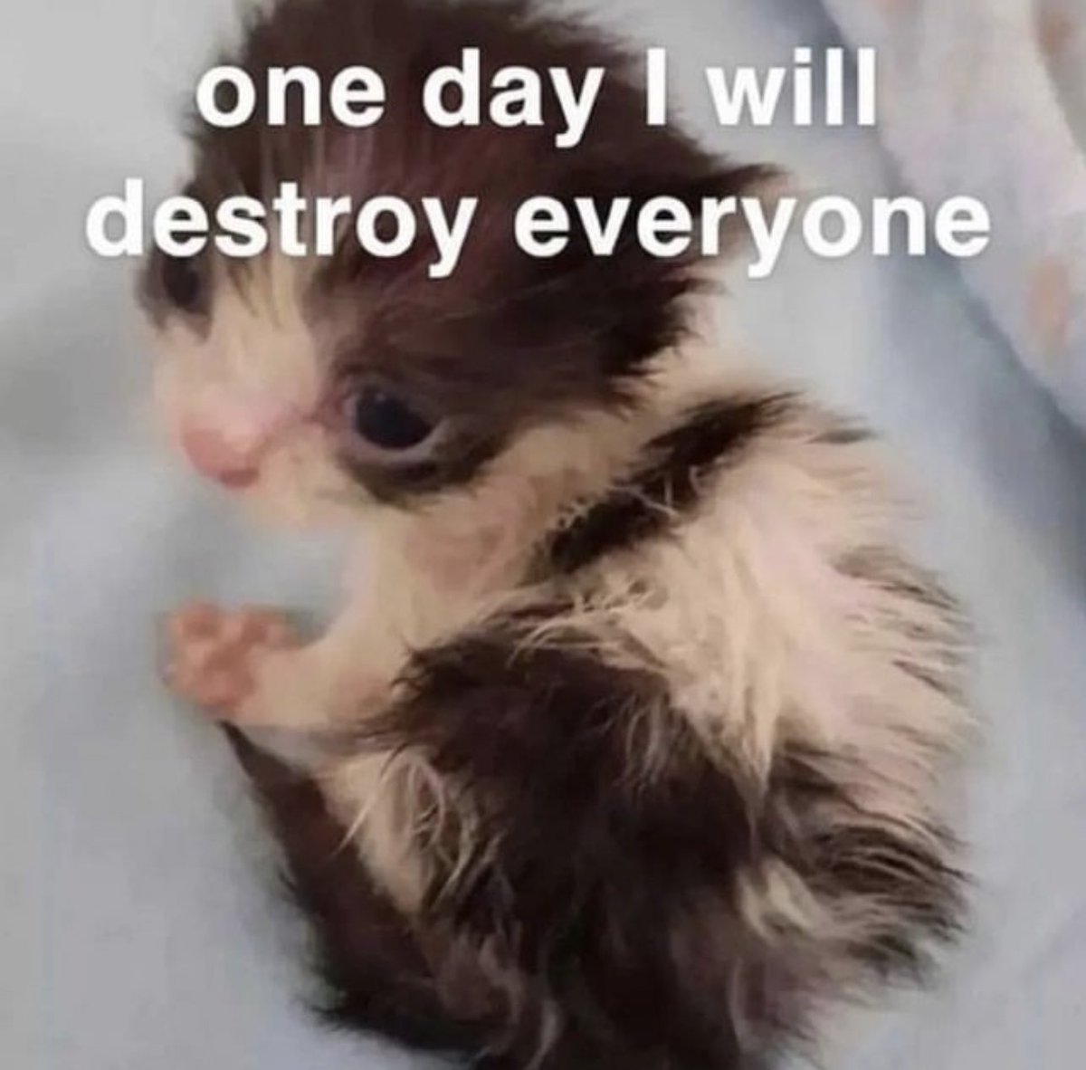 // Aslo I haven’t use it account is some I almost lost interest on this account but I don’t want to be rude or upset once day I do something here to post.