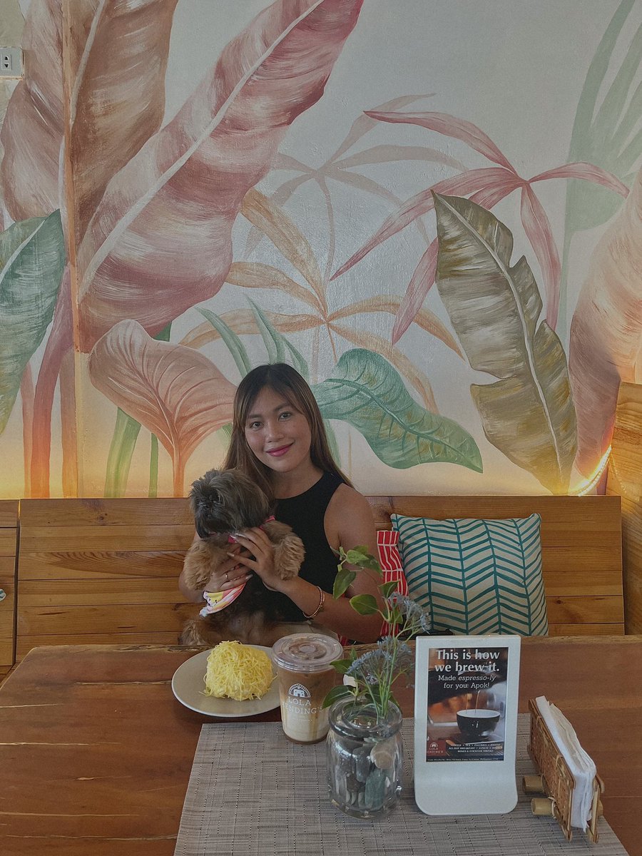 BevAmiller's tweet photo. happy 5th my furrever lüv 🐶💗 https://t.co/2bFXa5ds1U