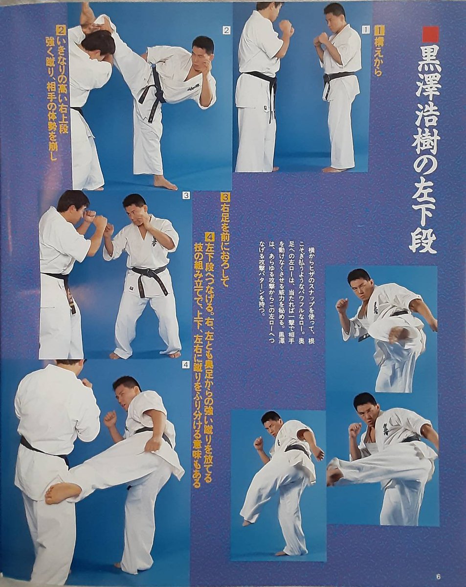 極真会館 数見肇 一撃で倒せ!下段廻し蹴り編 月刊フルコンタクトKARATE(96年2月号)』から、 “下段回し蹴りの特集