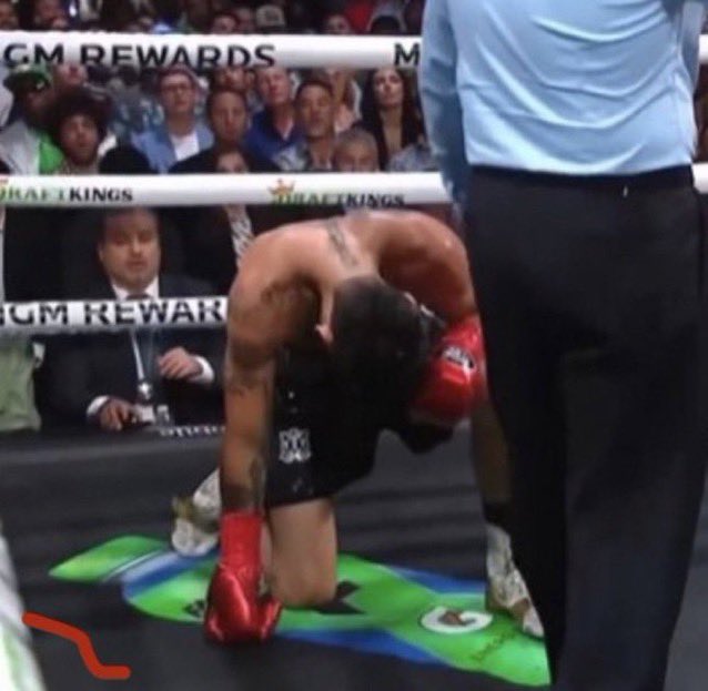 me watching his following go up