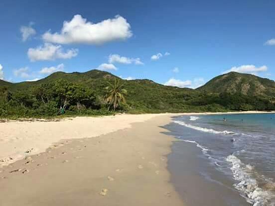 29_go's tweet photo. Always dream of caribbean developmennt on Antigua and Barbuda .well buy one of large parcel remain of 440acres and develop villa project with sunset an return on your investment. https://t.co/4IpH9Eshm6