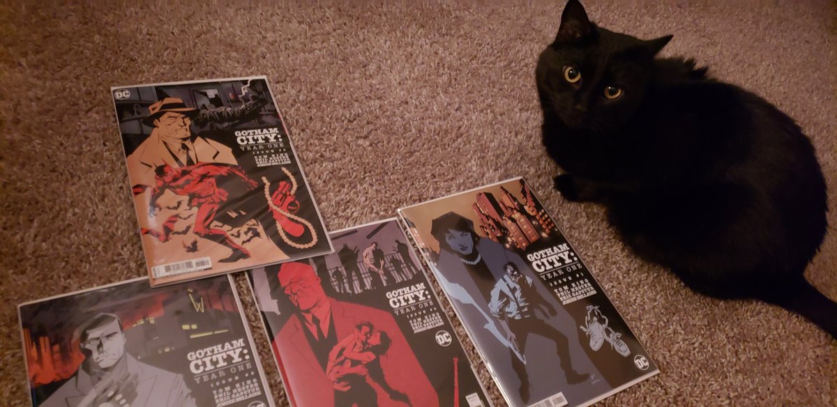 MattHardingArt's tweet photo. Next up for my #AttackTheStack is @TomKingTK and @philhester Gotham City Year One. Scully, my reading partner, approves with a hearty meeeeewwww https://t.co/KhuFtDVyqI
