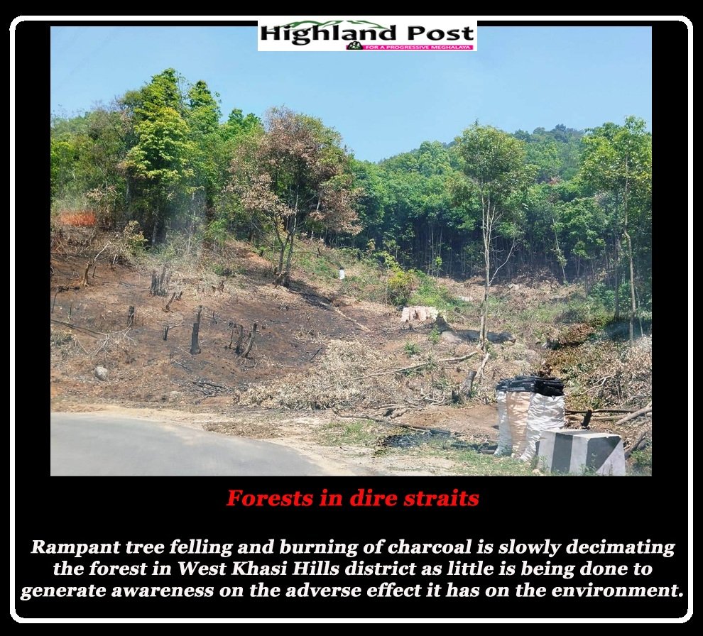 PostHighland's tweet photo. #MeghalayaNews #highlandpost #NewsUpdate #Meghalaya #deforestation #westkhasihills #environment #charcoal #burningforest #earthday2023 #earthdayeveryday #earth #cryingearth #climatechange #ClimateEmergency https://t.co/jSax7M4xjT