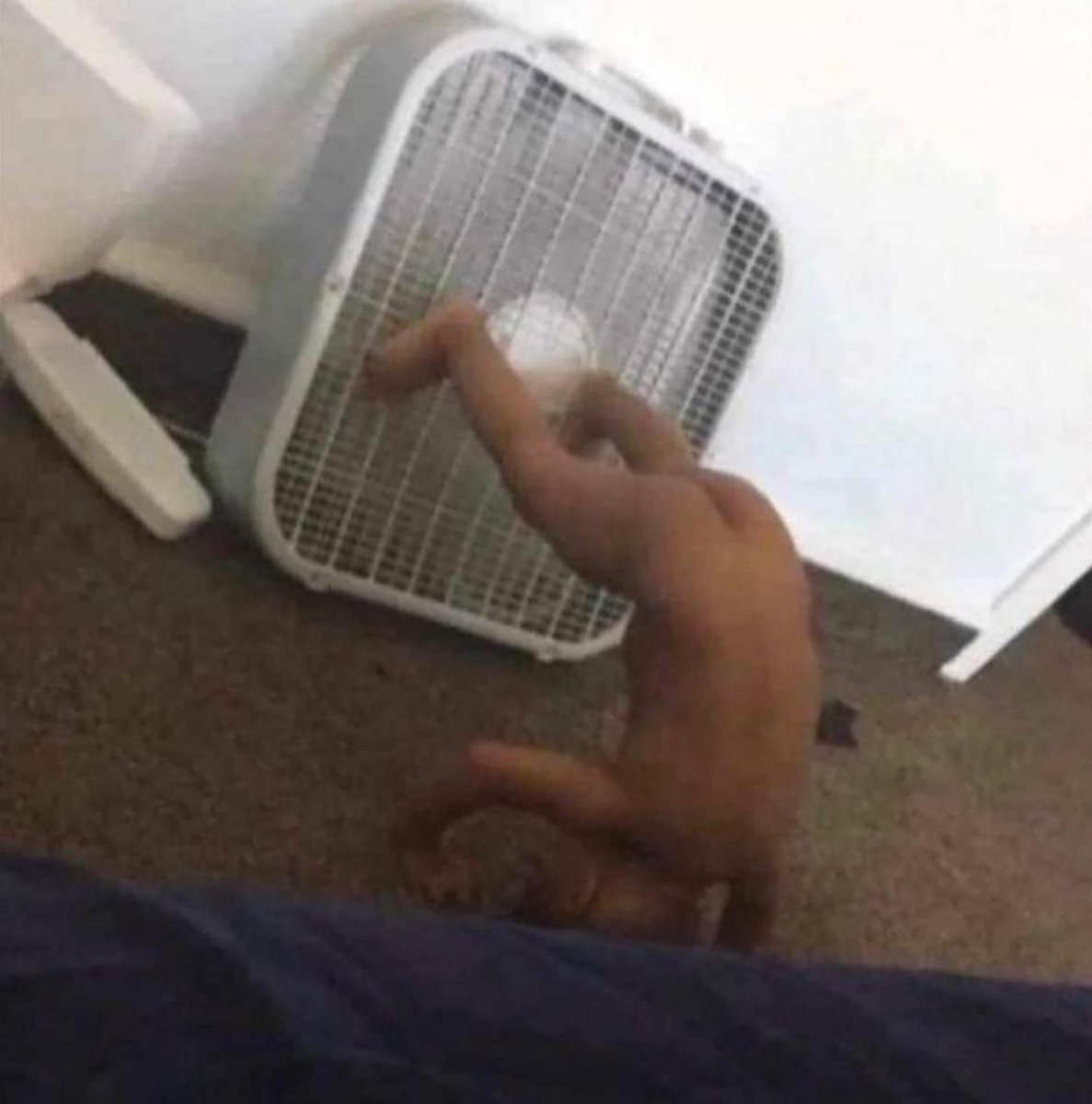 p_axlyn's tweet photo. Nosotros con este calor triple hijueputa https://t.co/IOSFNodSok