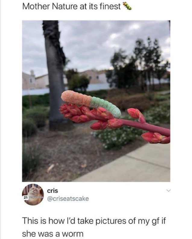 ShitpostGate's tweet photo. https://t.co/3Nl6g3abfH