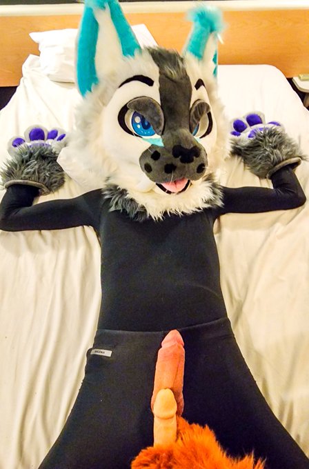 Its now my turn to fuck this horny cat 🔥🔥🍆  #Hot #Sex #Furry #Murr #Murrsuit #Murrsuiting #Mursuit #Pegging<a href="/tag/hot"class="tags">#Hot</a><a href="/tag/sex"class="tags"><span>#sex</span></a><a href="/tag/furry"class="tags"><span>#furry</span></a><a href="/tag/pegging"class="tags"><span>#pegging</span></a><a href="/tag/dominant"class="tags"><span>#dominant</span></a><a href="/tag/dominance"class="tags"><span>#dominance</span></a><a href="/tag/murr"class="tags"><span>#murr</span></a>