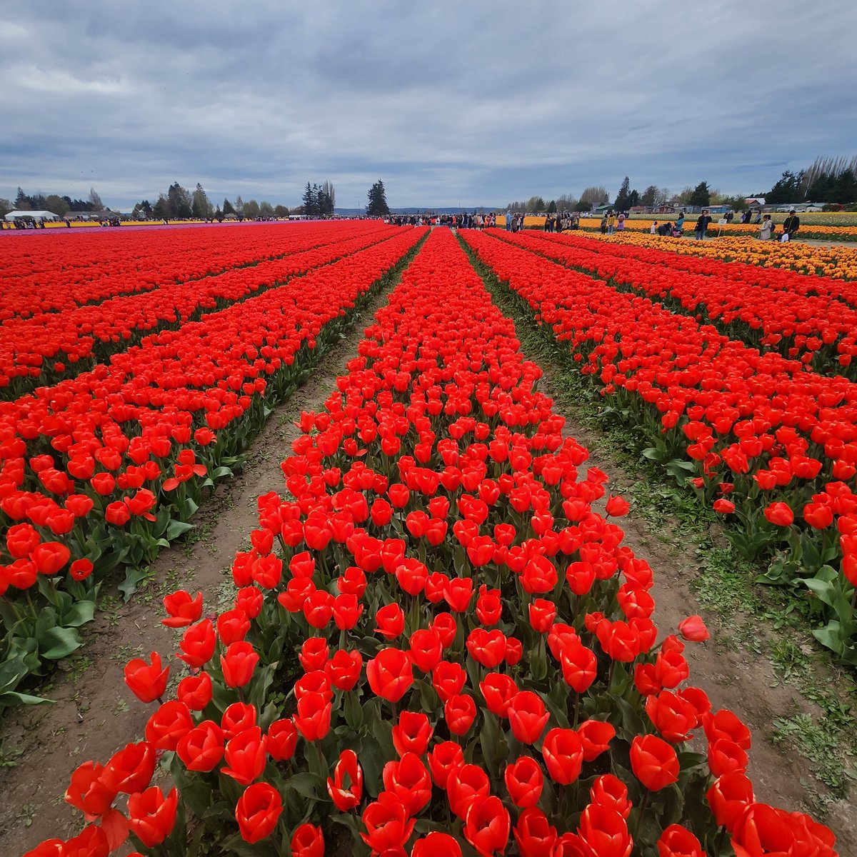 Ashish Palekar tweet media