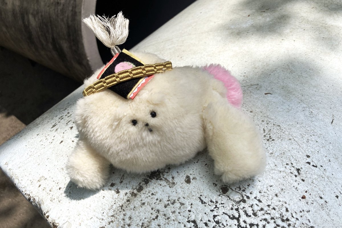 ayapi_and_beast's tweet photo. 🌈　結婚したいな、と思ったときに、パートナーに贈ったぬいぐるみです。
おでこの手紙にしたがって、しっぽをグーンとひっぱると、ひみつの言葉がでてきます。 https://t.co/UBbeAEbvt1