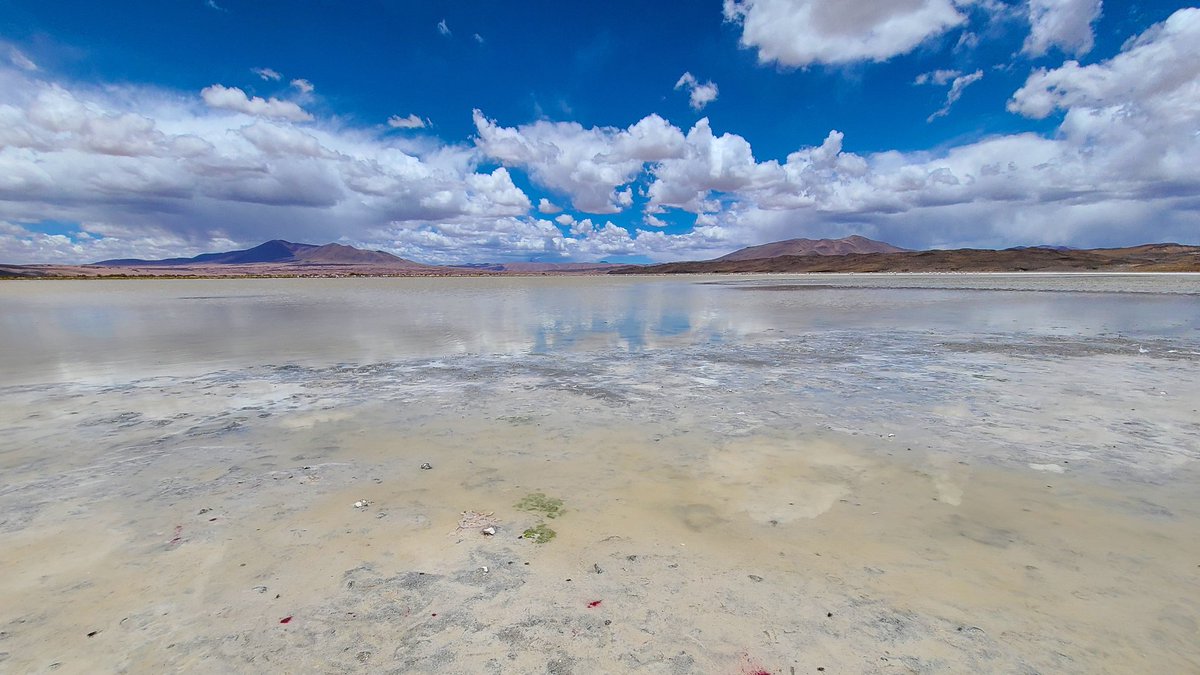 criordor's tweet photo. El #litio en Sudamérica se encuentra en frágiles cuencas evaporíticas con alta biodiversidad. Los salares son ecosistemas complejos, cualquier intervención (incluso exploración) puede generar daños irreparables e irreversibles. https://t.co/UWBK3W44GI
