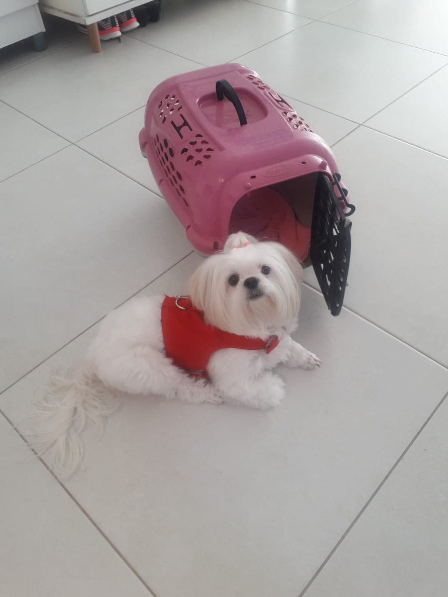 Linda e maravilhosa.
