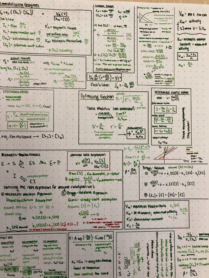 Rachel Tam, ChE 2024 <a href="/NU_ChemE/">Chemical Engineering at Northeastern University</a>, created this 1-pg summary for our Biochemical Engineering midterm.  I was admiring the artistry, beauty, &amp; compactness of her study sheet.  She gave me a copy of this &amp; the one for the final as a parting gift after the final exam!  😄