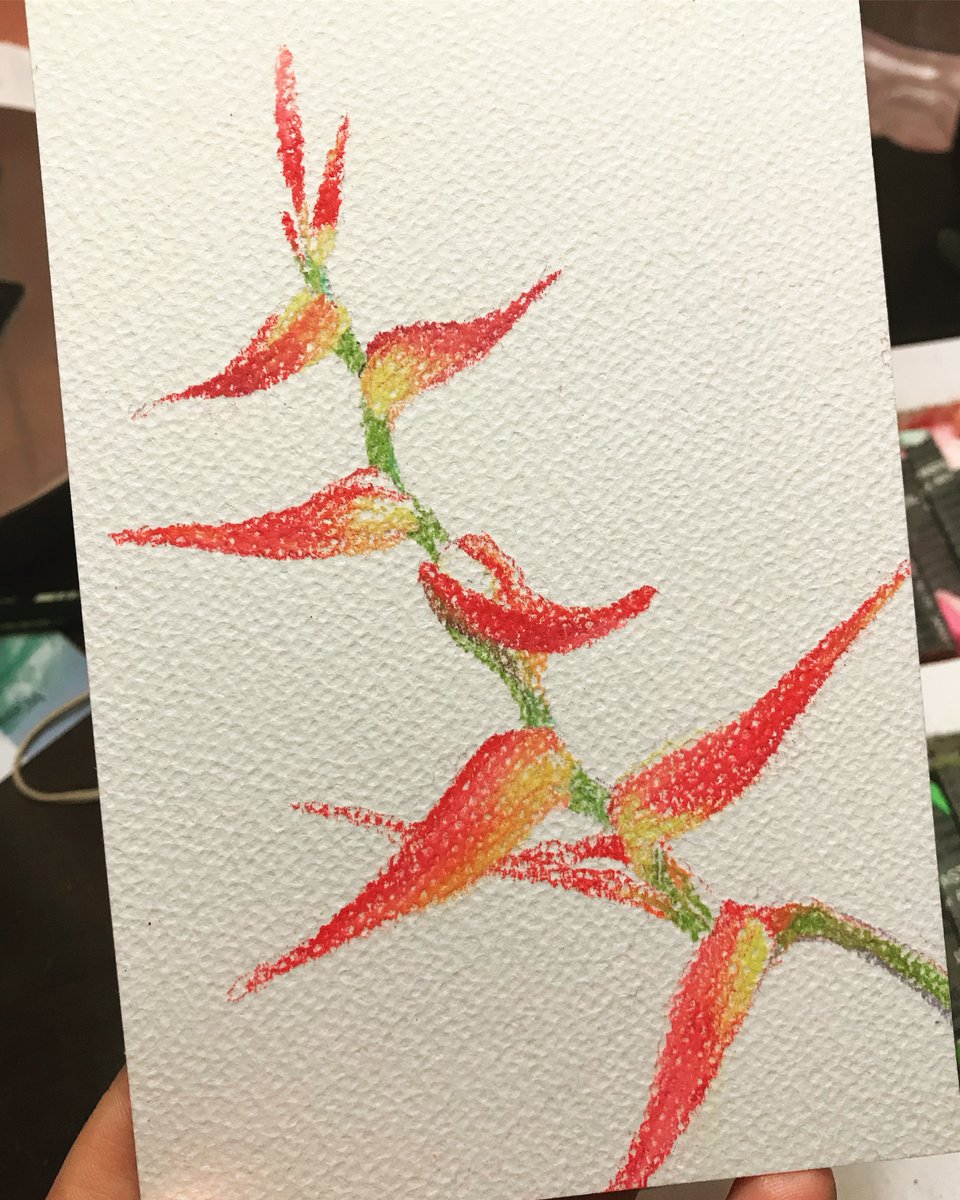 スケッチアナログ
漫画は来月描きます https://t.co/U7E90VdsSu