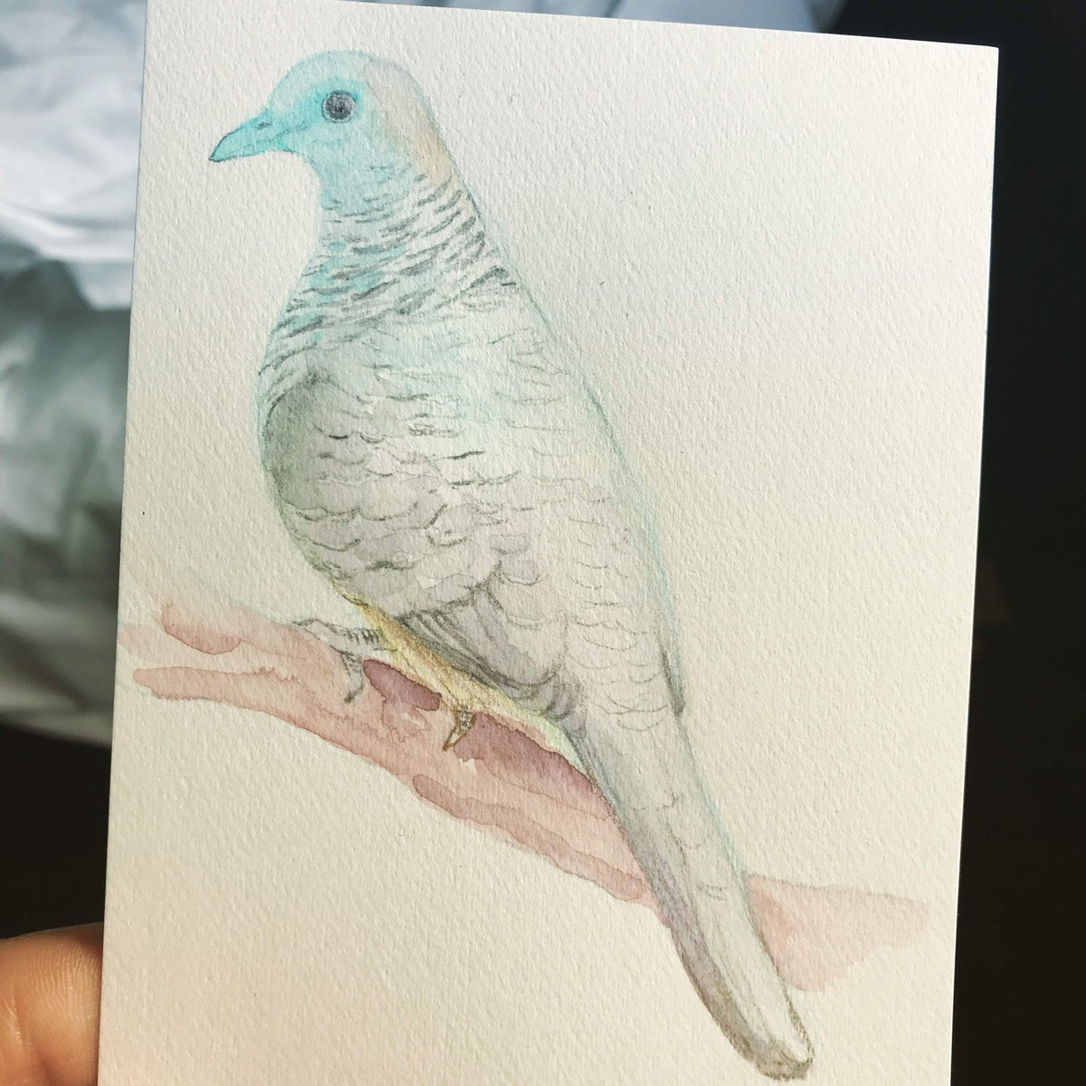 スケッチアナログ
漫画は来月描きます https://t.co/U7E90VdsSu