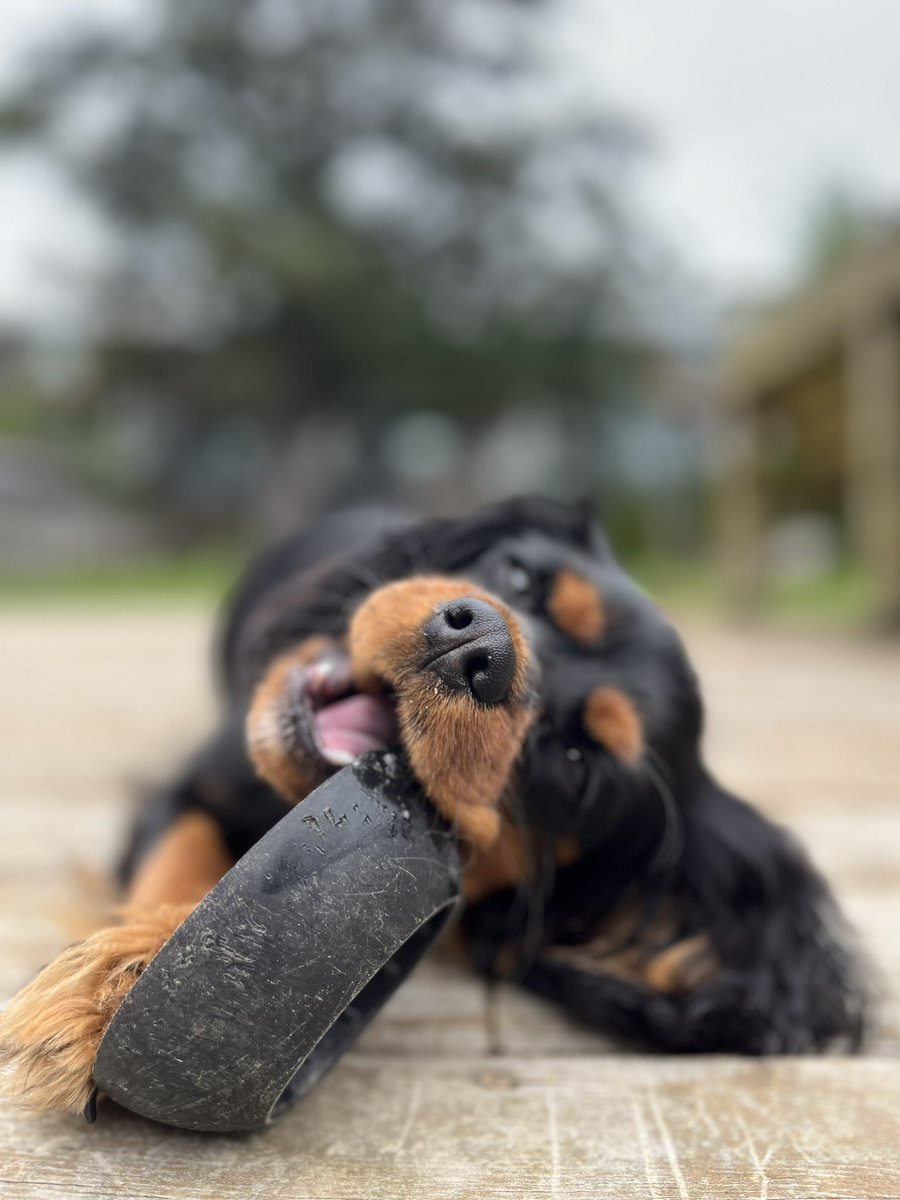 Betty is 8 months today