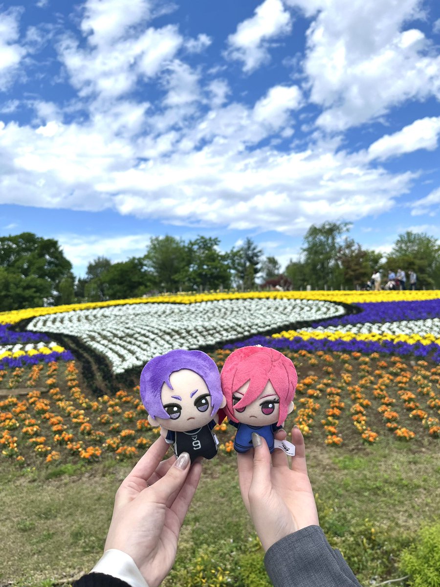 yu_okawari's tweet photo. 💜 https://t.co/qyQRq1OUk1