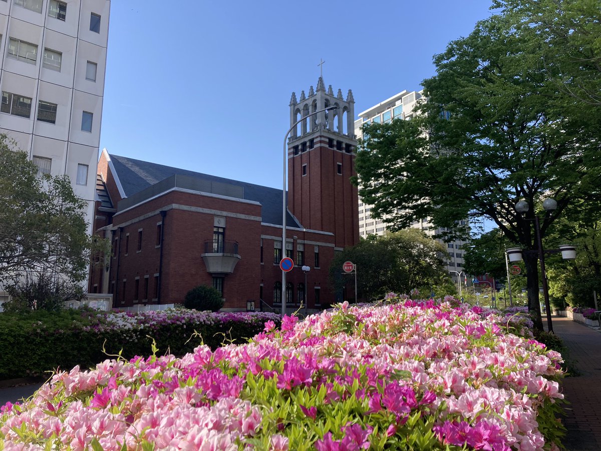 tripstar0522's tweet photo. 今日は山手方面で5km通勤 #朝ラン をしました。日中は少し暑い位なんですが、朝晩は肌寒い感じです。寒暖差が激しいのはこたえますね😅

コース
地下鉄新神戸→加納町3→韓国領事館（中山手通）→県庁→大倉山→神戸駅→栄町通→元町駅西口

👟→ #HOKA   #CLIFTON6
🧦→ #無印良品 https://t.co/UhkI6TaA6w