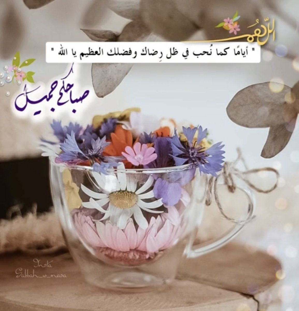 laylam1401's tweet photo. https://t.co/LQVuztds5t