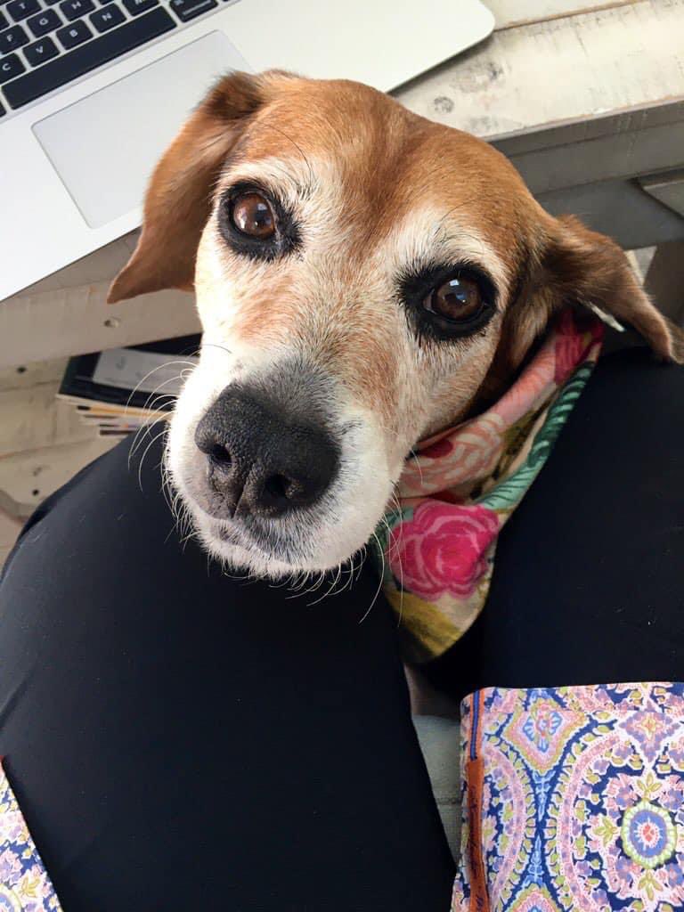 Jennifer Cabe tweet media