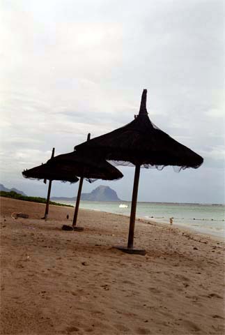 #Sun #umbrellas on the #beach in #flicenflac, on the west coast of #Mauritius in the #Indian #Ocean. These are made with #locallysourced #materials and shelter their users from the hot weather #flicenflacbeach #PictureOfTheDay for more see darrensmith.org.uk