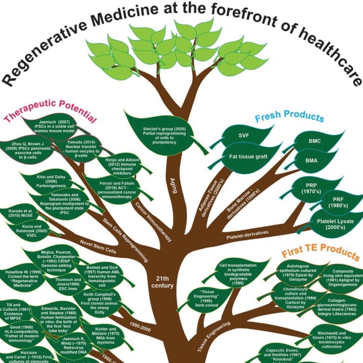 davidasinclair's tweet photo. A new branch of medicine has emerged: age reversal by partial reprogramming. How big do you think it will get? https://t.co/tiZipZ9RXn