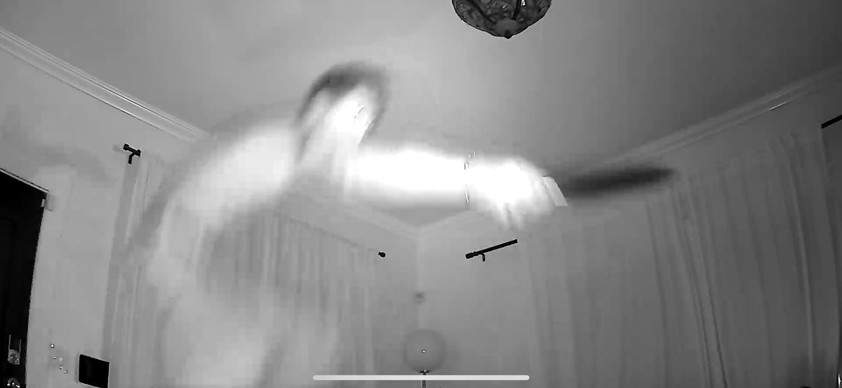 He’s been acting out of character ever since he lost the blue check