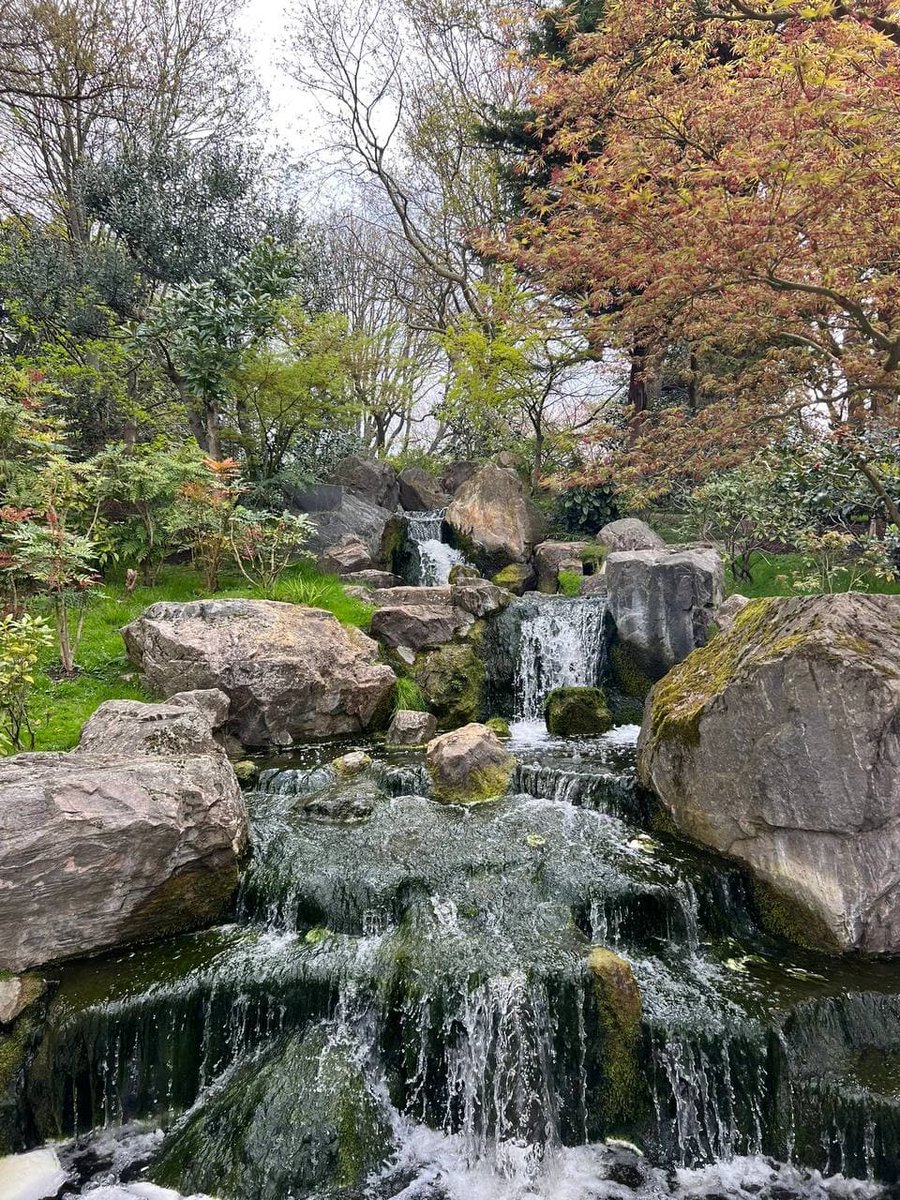 The Holland Park Kyoto Garden that my friend photographed for me is really beautiful. Maybe I should visit the UK.
 #London#Scenery#United Kingdom#United States#Los Angeles#Miami