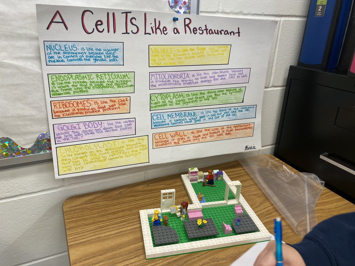 2023 Cell Analogies. This year we discovered how cells are like basketball courts, factories, farmers markets, restaurants, and more! 
#sciencerules