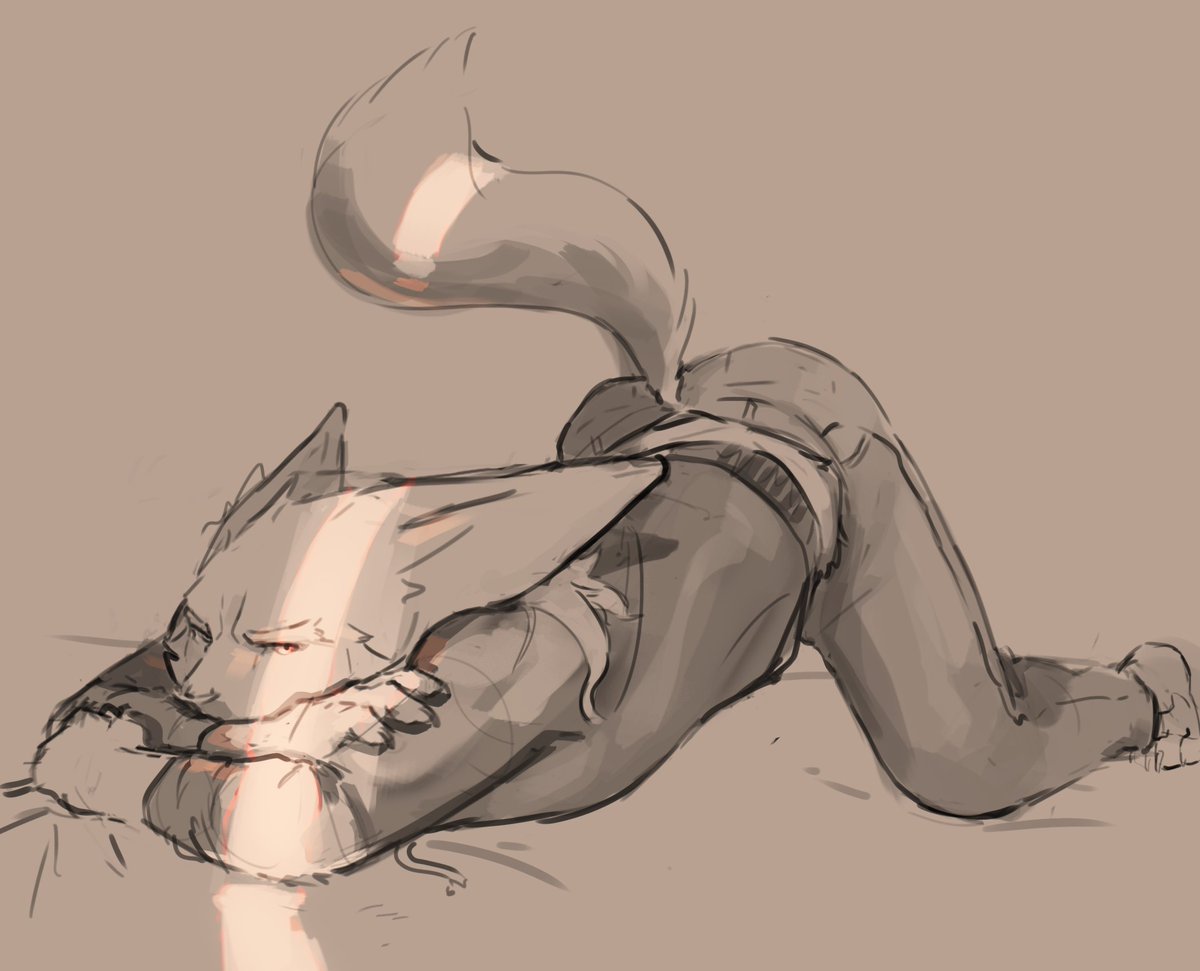 Foffy (on break!) tweet media