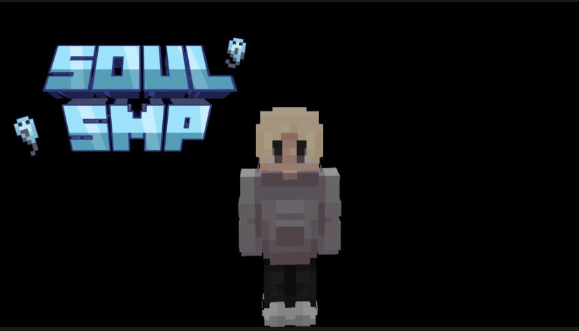 SoulShard SMP tweet media