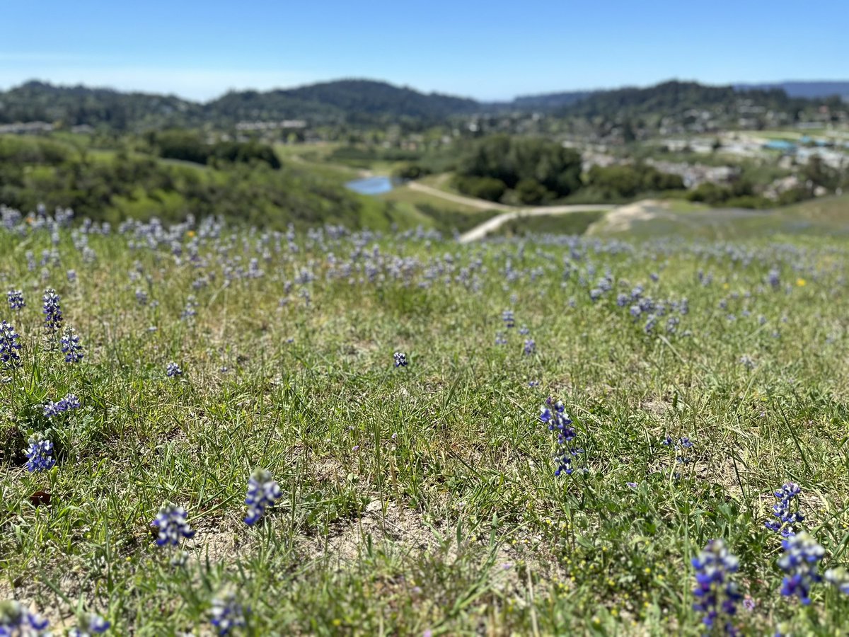 Superwade2's tweet photo. @NativeSantaCruz Glenwood Preserve was pretty awesome today too! https://t.co/w4Q96RcG9O