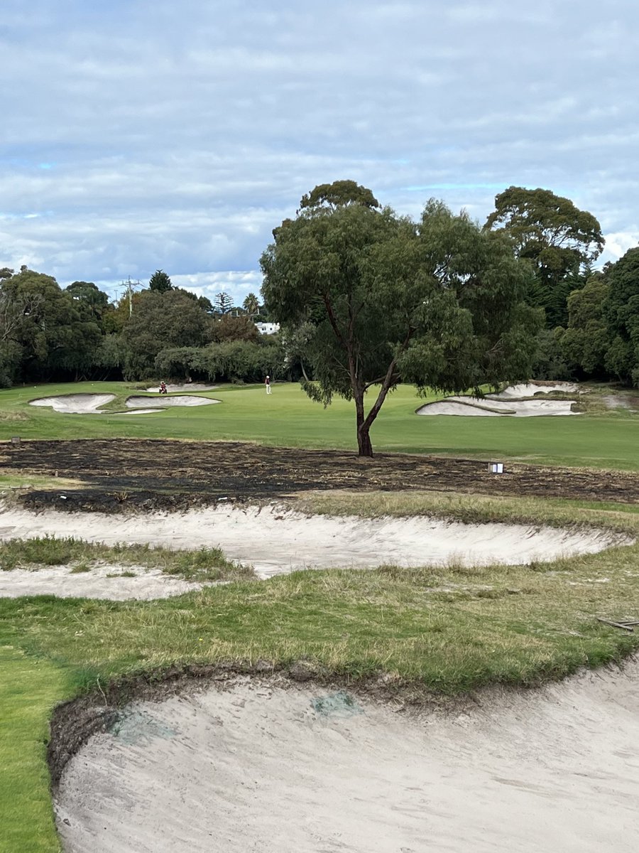 mikeclaytongolf's tweet photo. Fire.  The great regeneration of heathlands. Royal Melbourne 3 East. https://t.co/mlHGJwnsMt
