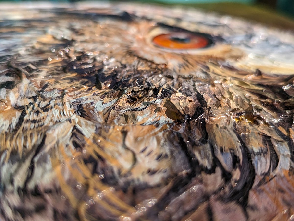 Here's a nice view of the texture on the owl #painting, I thought you all would enjoy it. #oiloncanvas #originalart #art  #owlart #birdart #impastopainting