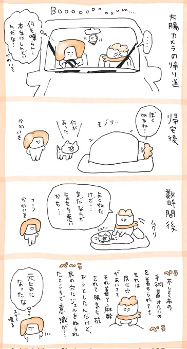 わかりやす夫(お) 