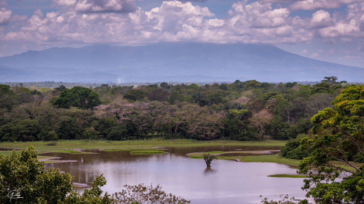 En este Día de la Tierra, tómate un momento para apreciar la belleza natural de nuestro país. Fotografía que tomé en el Refugio Nacional de Vida Silvestre Caño Negro, con el majestuoso volcán Miravalles de fondo. #DíaDeLaTierra #EarthDay #CuidemosLaTierra #COSTARICA #Naturaleza