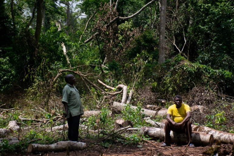 Dr_JibCares's tweet photo. #Kisoro
Hello team; I invite you to join @MillionTrees_Ug Kazongo Pocket Forest Restoration Project as we restore degraded #20acres of this forest
@KobusingeRose1 @BobKakuru
@UNHCRuganda @KigoziMaggie @MauriceMugisha @taremwa311
@tangem2009 @DaudiKabanda
#GenerationRestoration https://t.co/f3JiYvRMcX