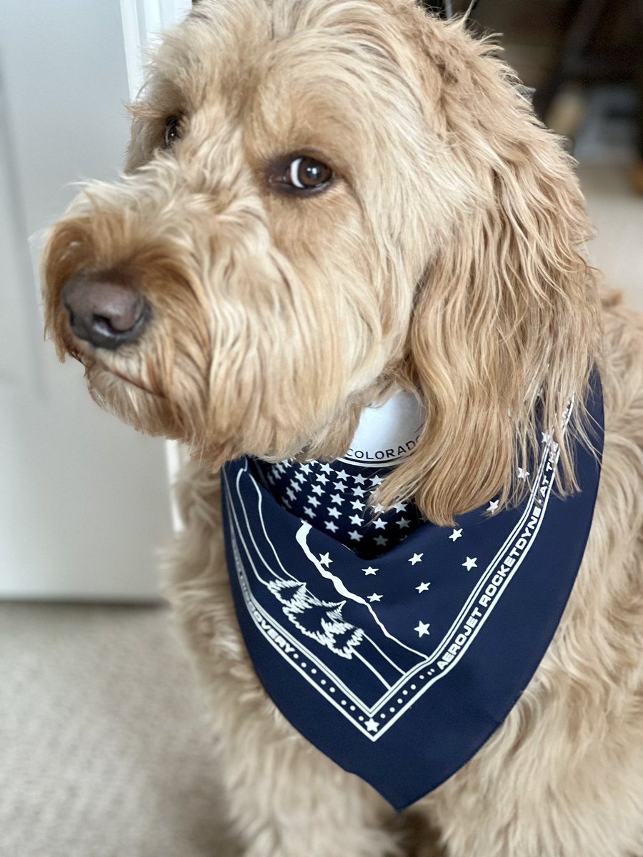 SpaceHappyHour's tweet photo. Best swag from #SpaceSymposium? Teddy definitely wears it best! Thanks @AerojetRdyne for the awesome #38Space bandanna! https://t.co/3iW8mSEsSv