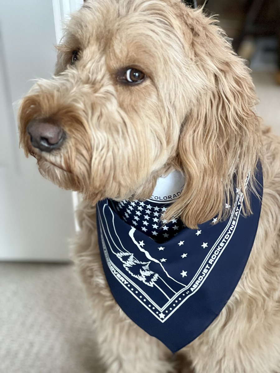 Best swag from #SpaceSymposium? Teddy definitely wears it best! Thanks @AerojetRdyne for the awesome #38Space bandanna!