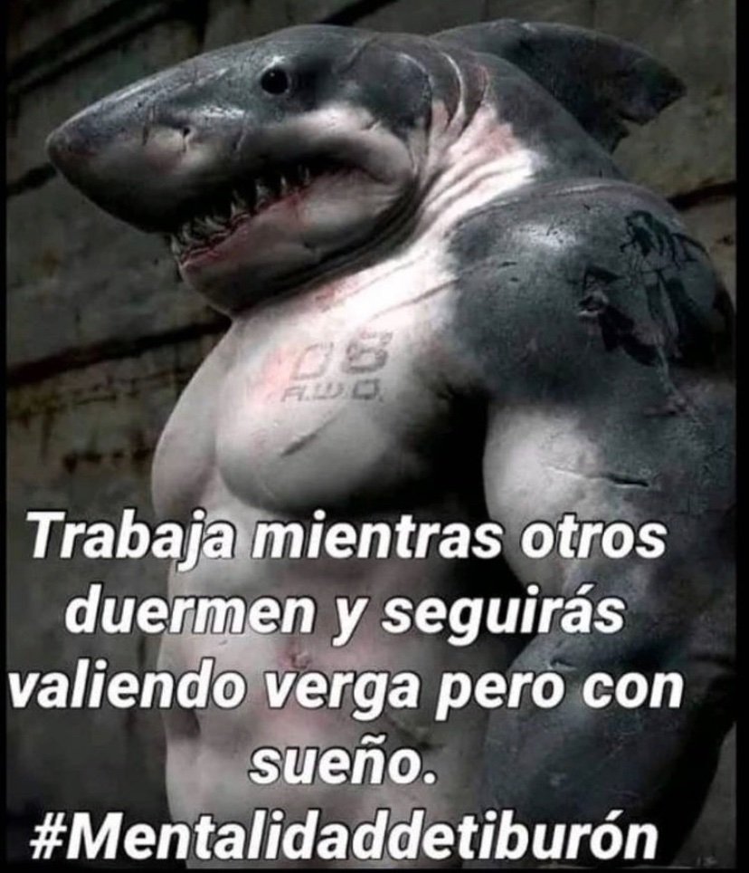 BenjaminEspnol1's tweet photo. @Alitadecarton Me recuerda a este momazo jajaja https://t.co/ICU82lZqie