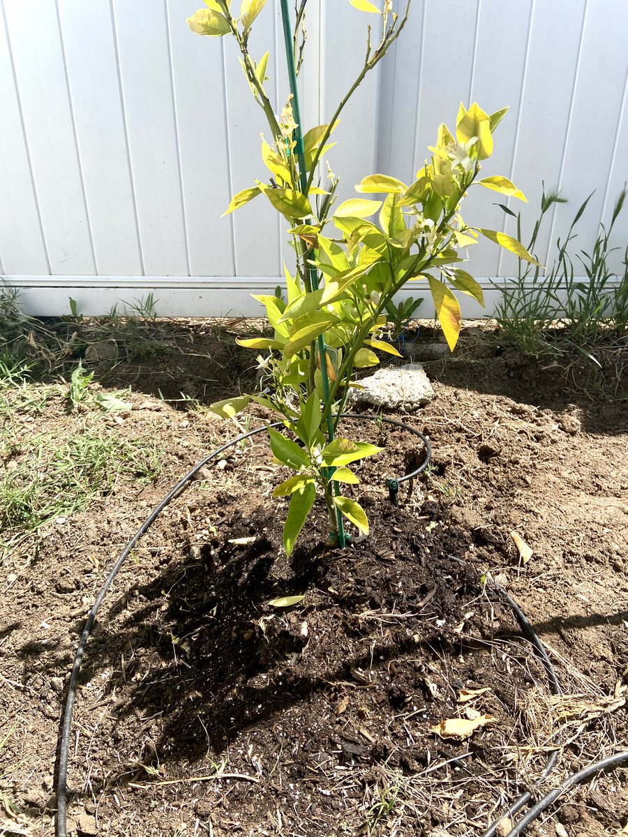 Happy earth day. #EarthDay2023